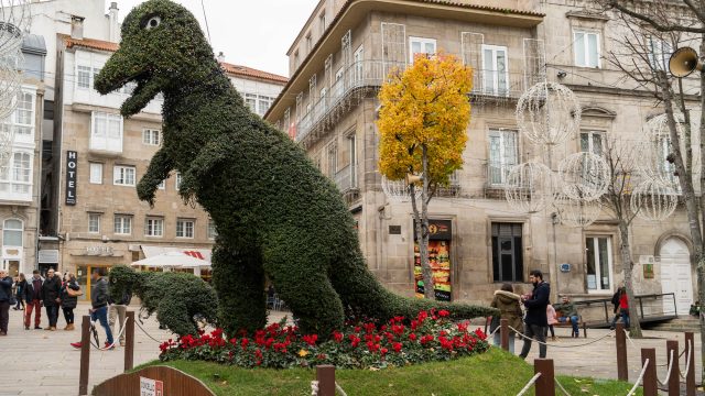 Dinoseto, El Español